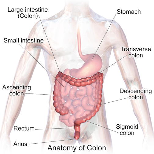 Colon Surgery Can Help When Medications and Other Treatments Fail — by Dr. Seun Sowemimo, bariatric and general surgeon at Prime Surgicare, Central NJ